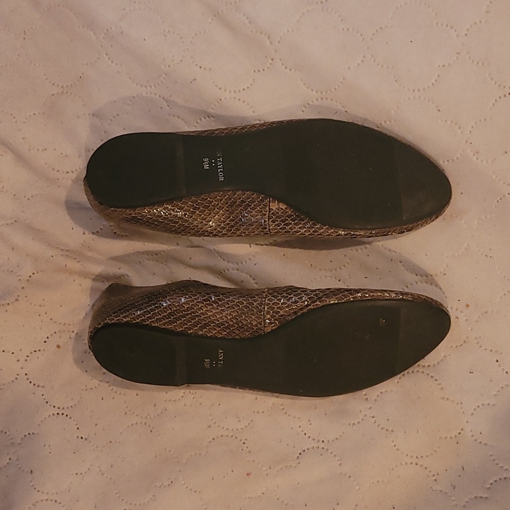 Alligator flat shoes - Picture 2 of 2